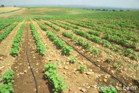 Rules Were Made to Be Broken