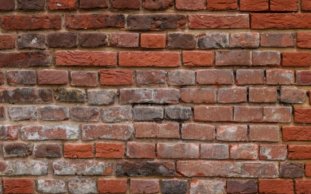 7 Things You Can Do When None of Your Career Options Feel Right