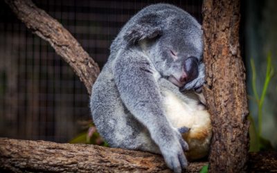 3 Ways to Know When to Push Yourself Harder and When to Let Yourself Off the Hook