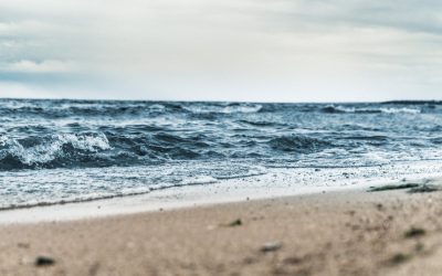 Not Sure Where to Start to Find Your Calling? Here’s One Super Powerful Thing You Can Do (in < 10 Minutes a Day)
