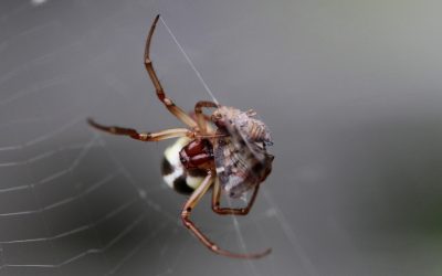 25 Ways to Loosen Fear’s Grip