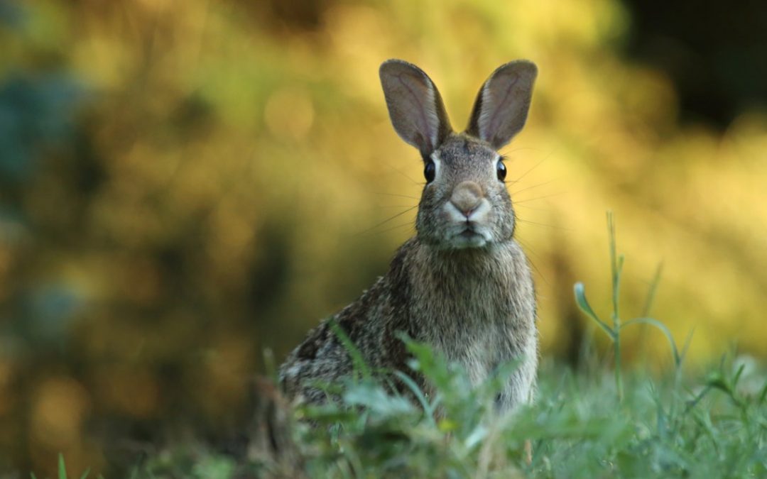 Are You Afraid to Fail? If So, There’s Something You Should Know.