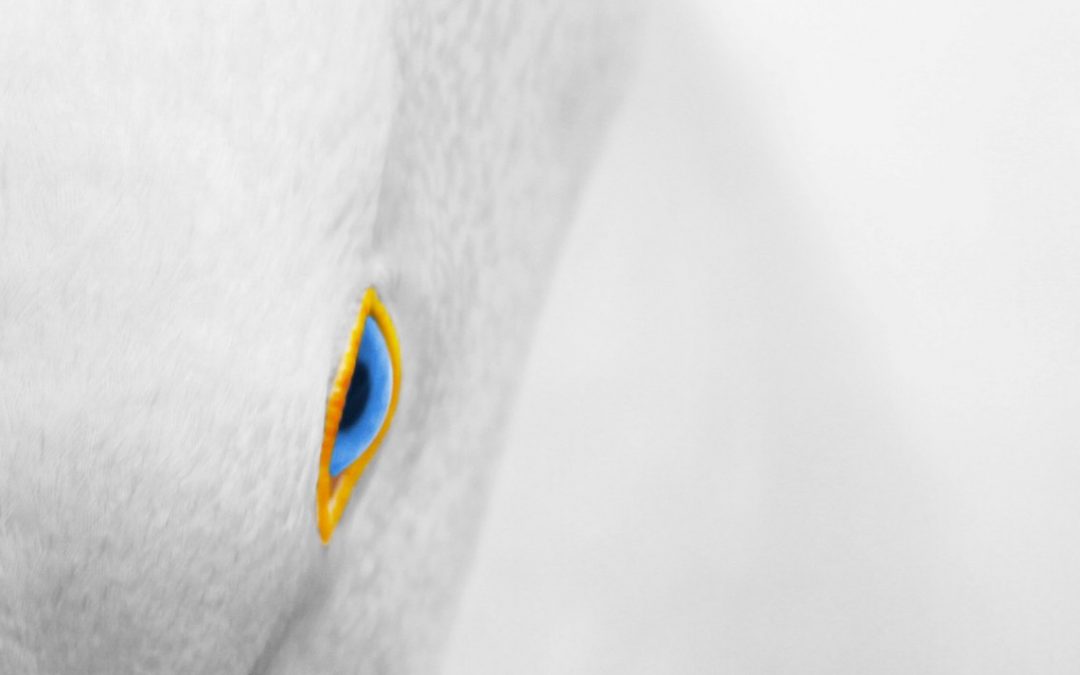 Say Hello to Your Inner Critic (Or, Why You Can’t Always Believe What You Think)