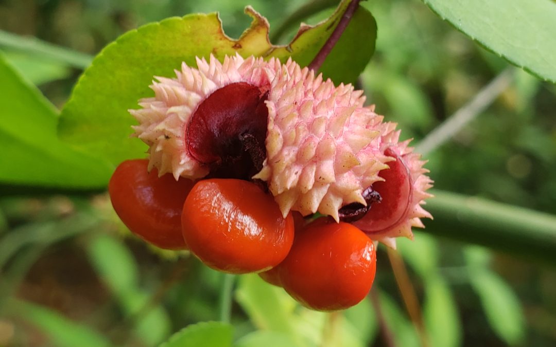 Do you struggle with depression or know someone who does?